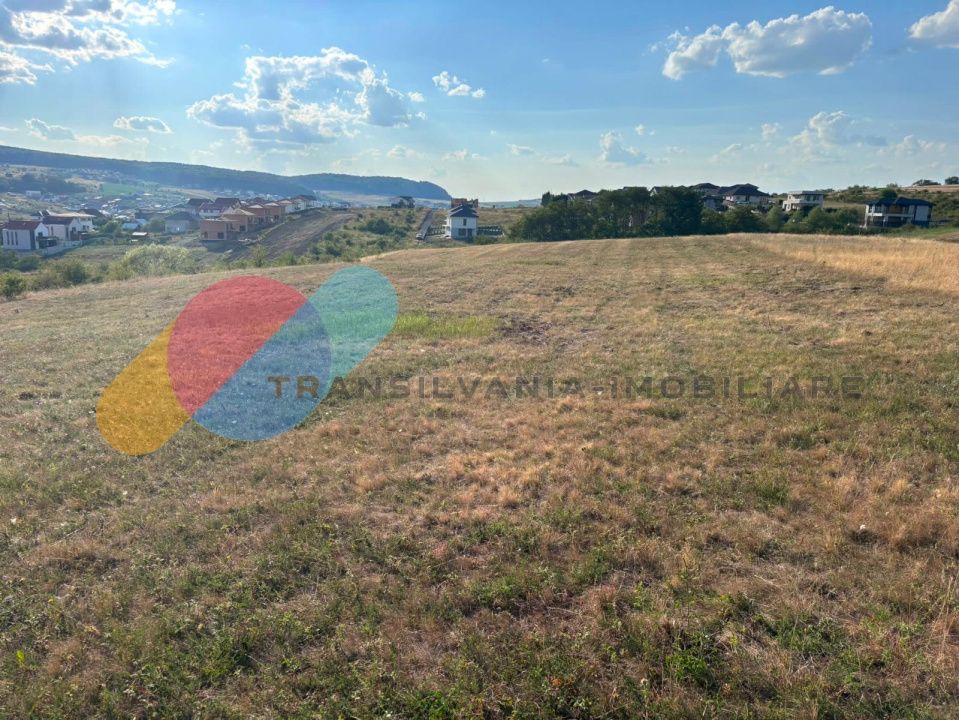 Imagine 31986