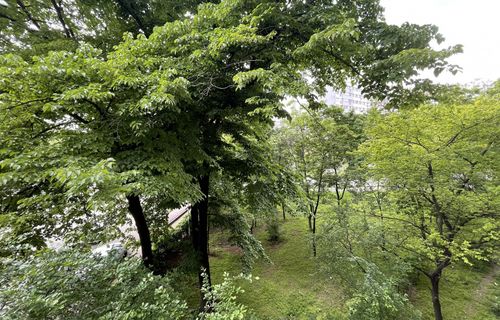 Imagine 13012