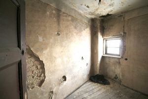Imagine 271