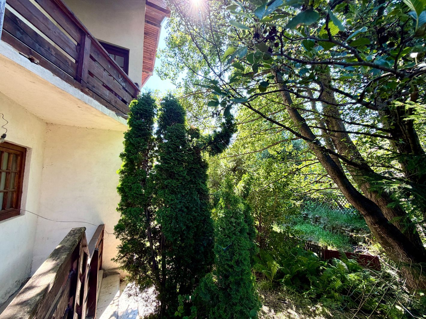 Imagine 206