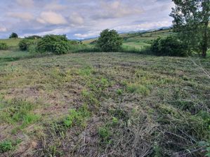 Imagine 2717
