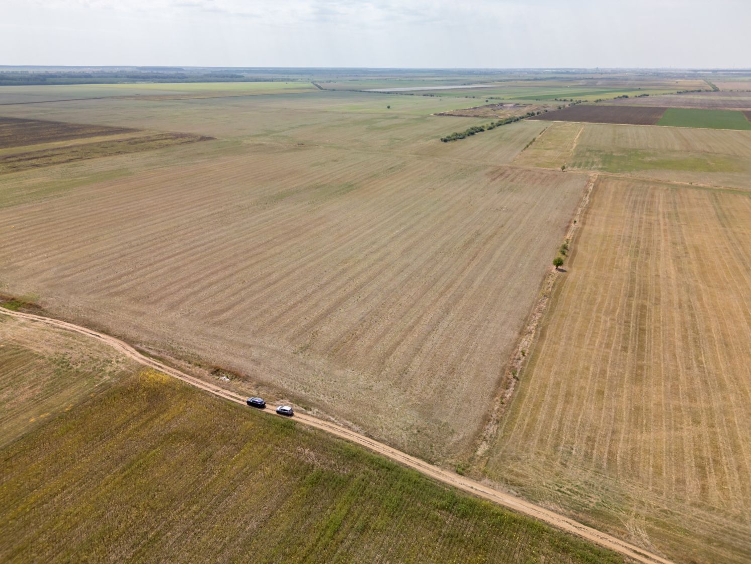 Imagine 1799