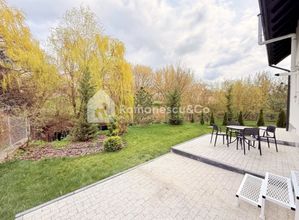 Imagine 30941