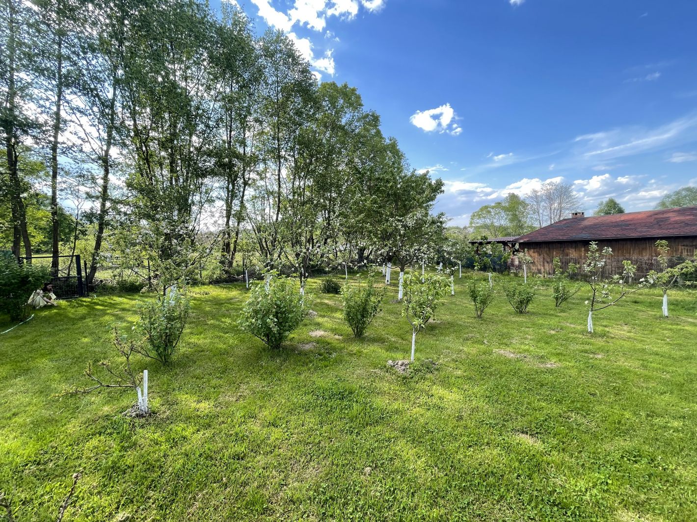 Imagine 1635