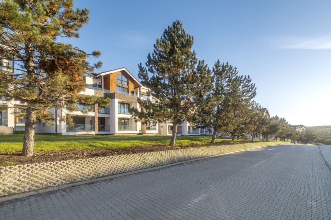 Imagine 6