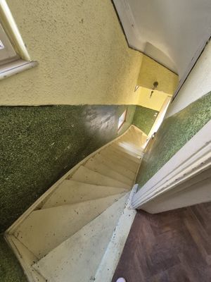 Imagine 19776