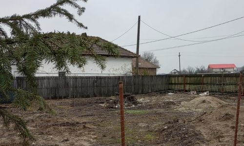 Imagine 429