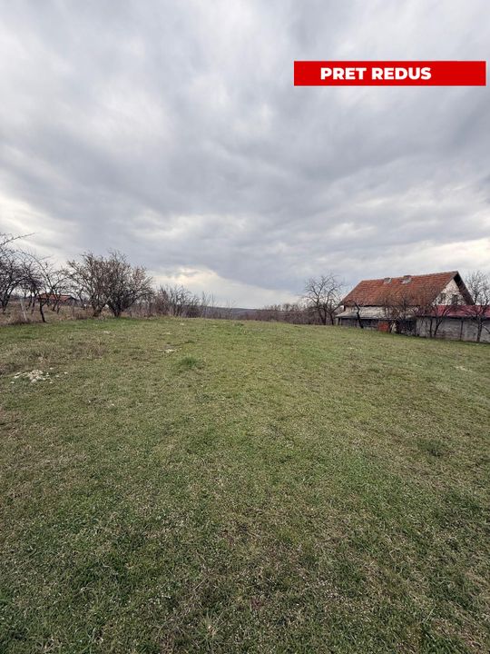 Teren intravilan 3052 mp | Băcești, Drăganu | asfalt | utilități la poartă
