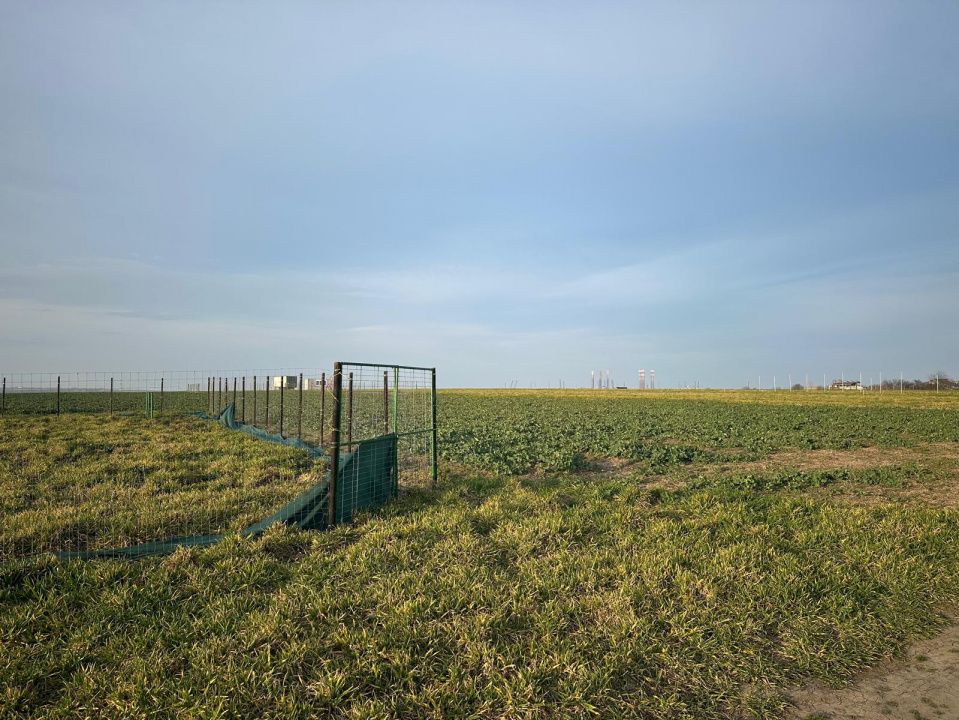Teren intravilan | Eforie Nord - Steaua de Mare | Ideal investiție