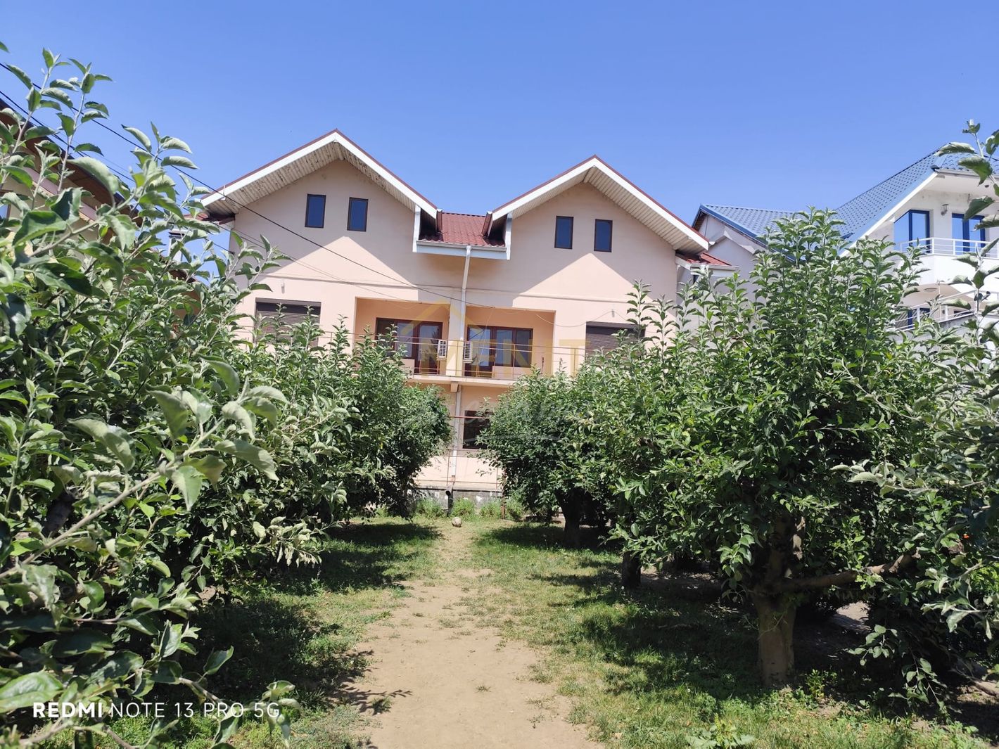 Imagine 516