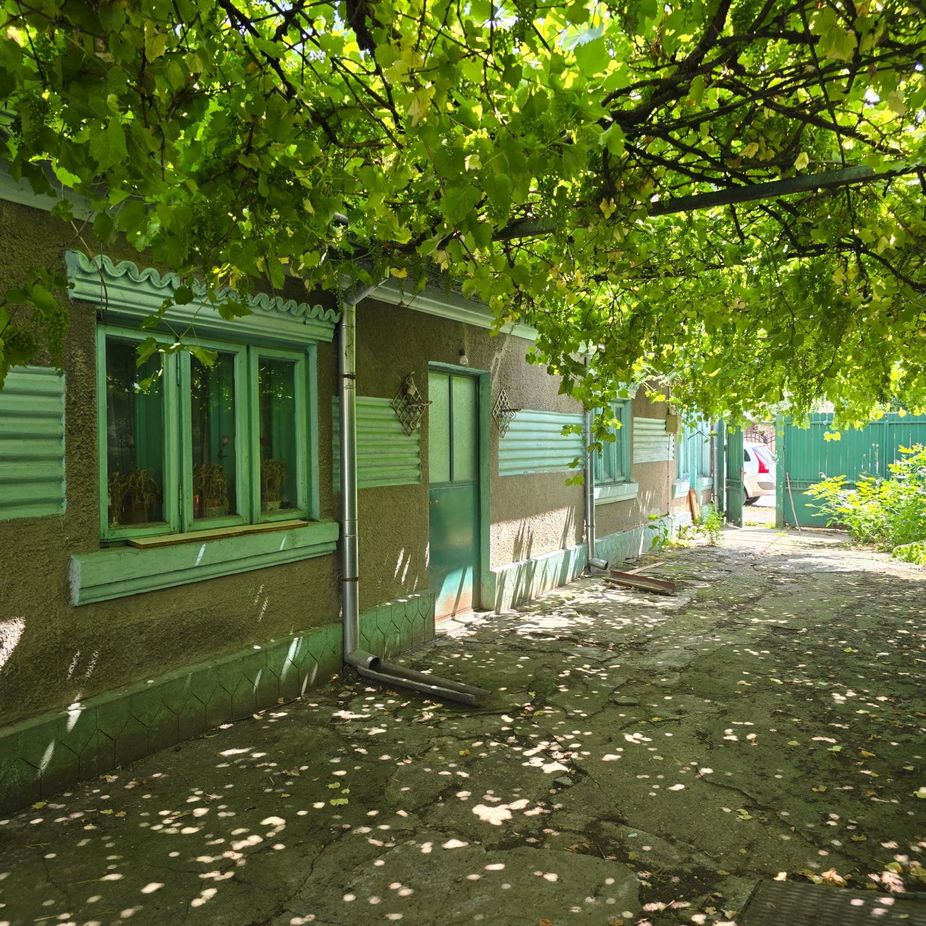 Imagine 10781