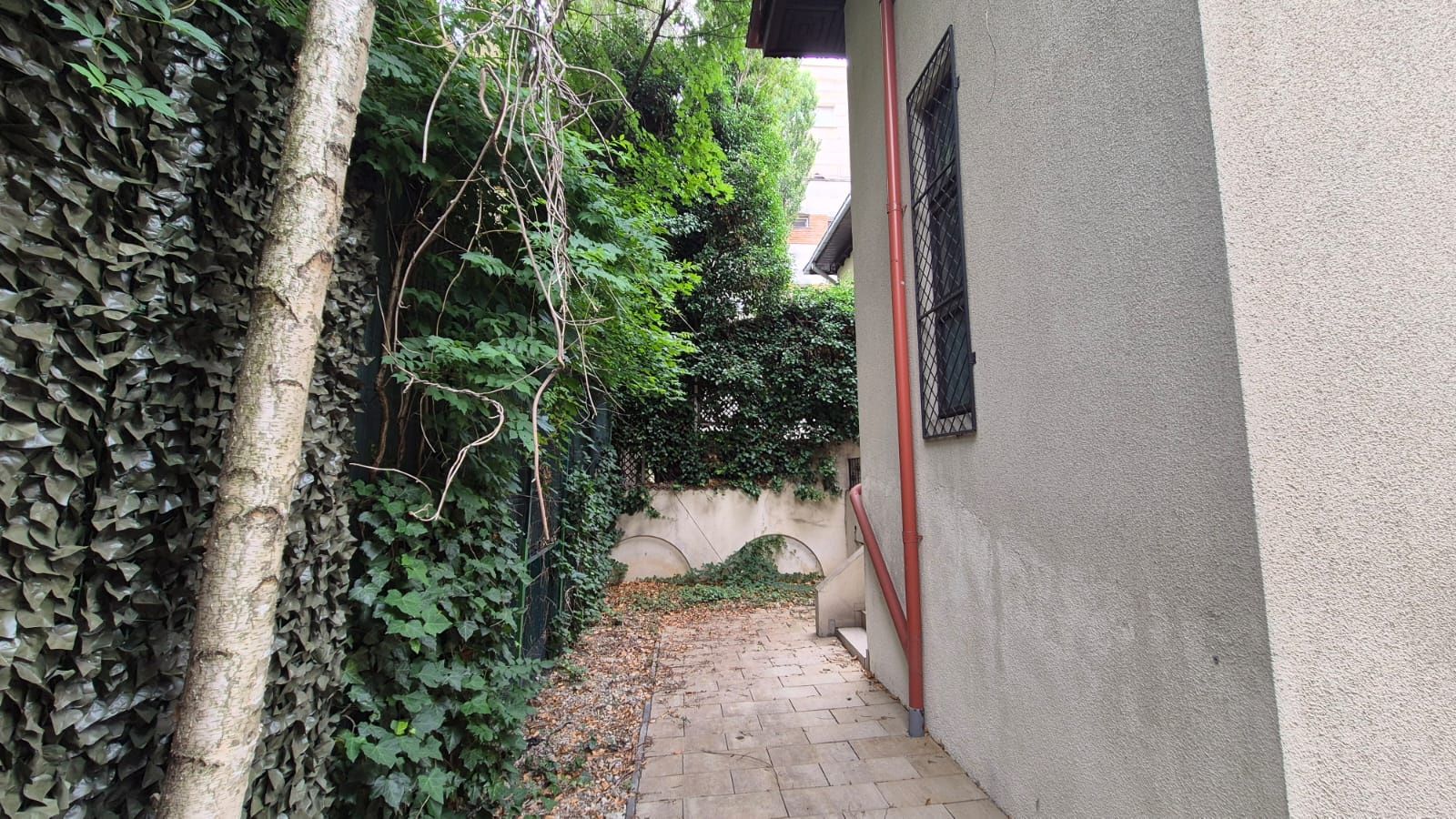 Imagine 1300