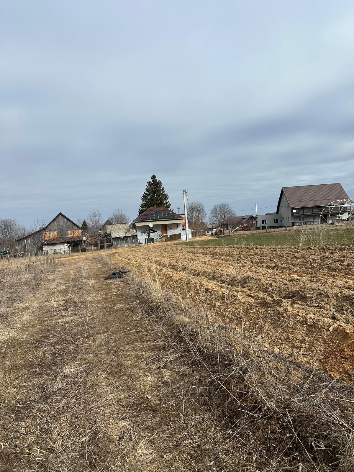 Imagine 175