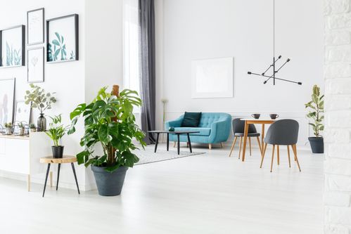 Apartamente