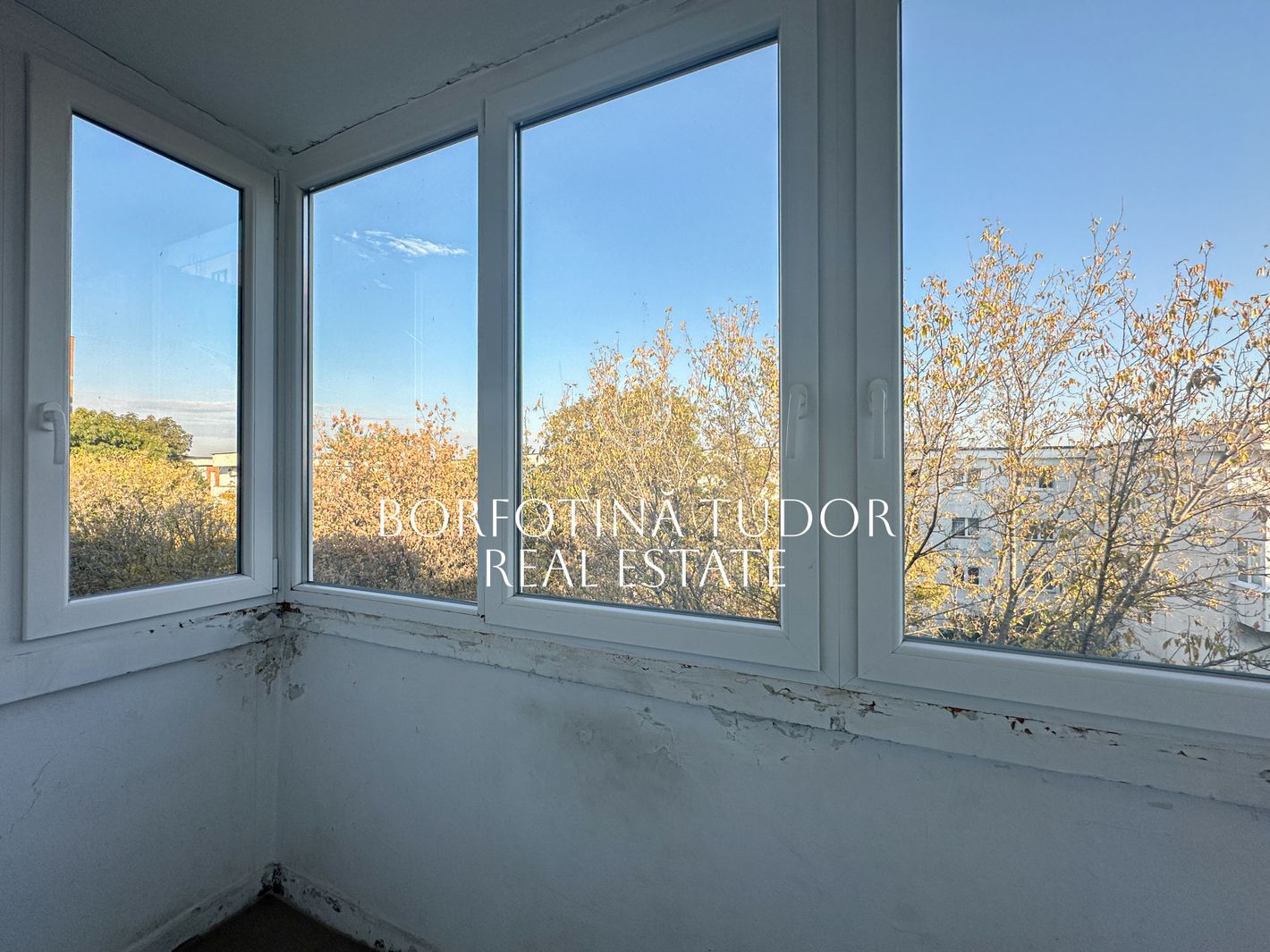Imagine 815