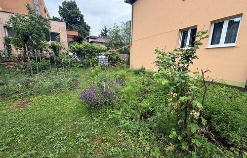 Imagine 1009