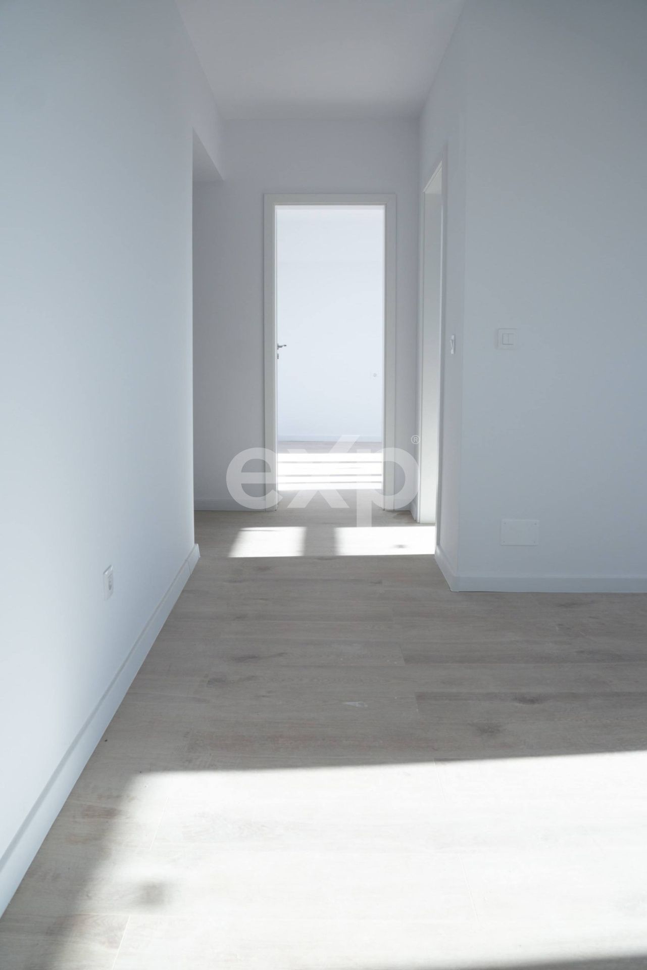 Imagine 25048