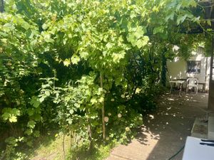 Imagine 7307