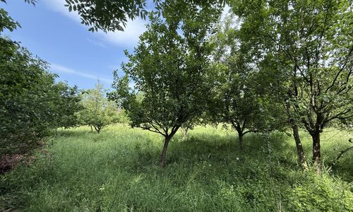Imagine 212985