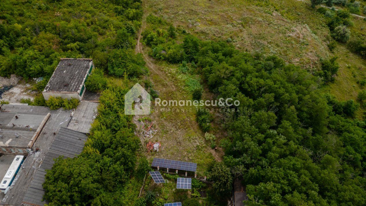Imagine 40681