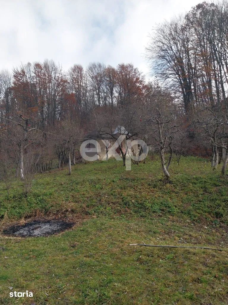 Imagine 28866