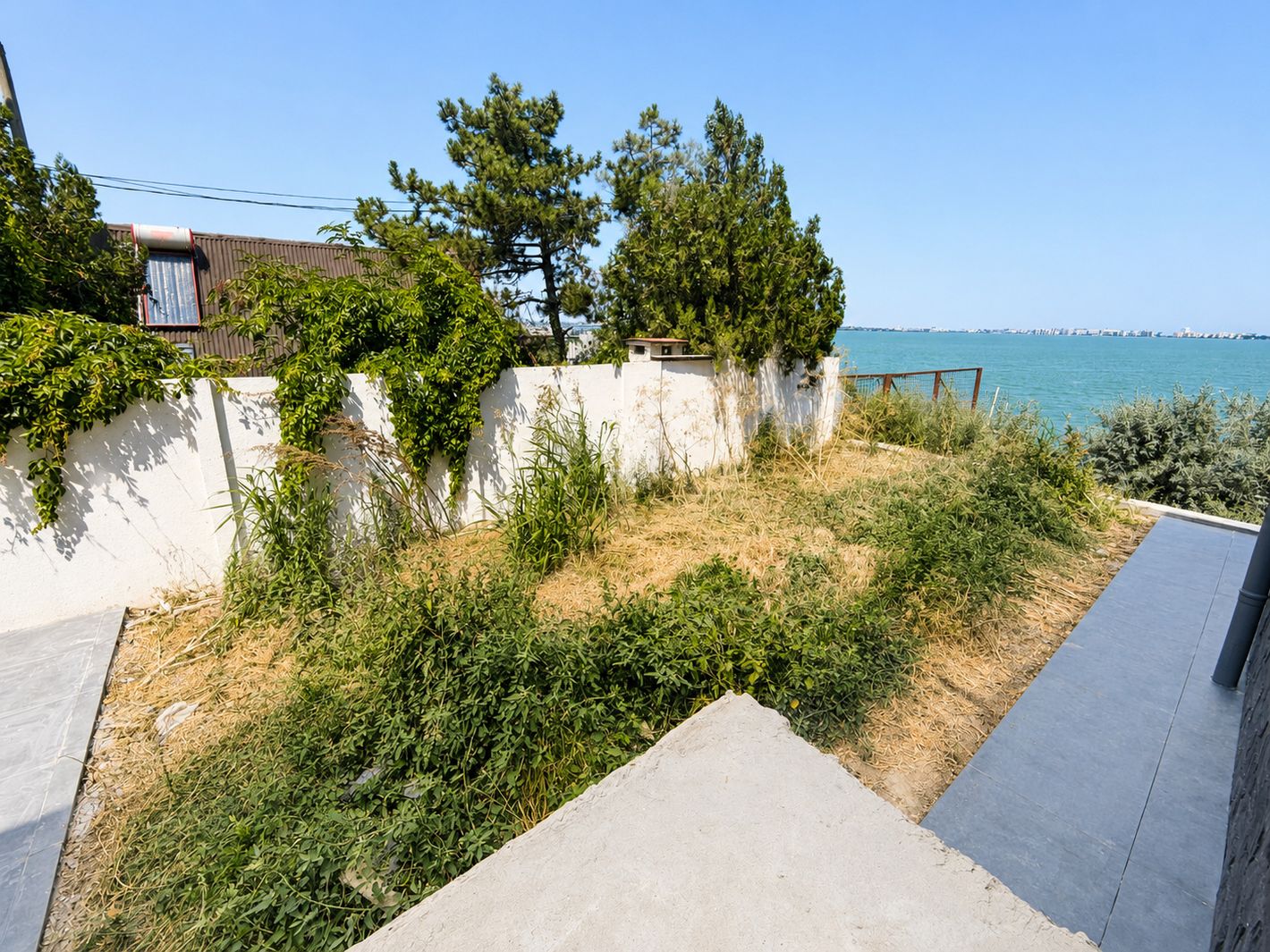 Imagine 3679