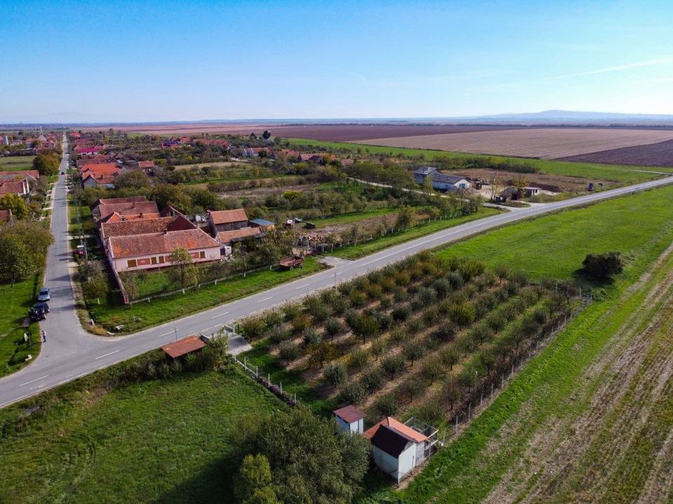 Teren cu livadă de vânzare – Sârbova, poziție excelentă!