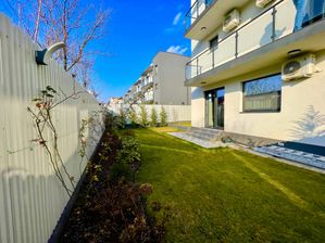 Imagine 244536