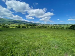 Imagine 446