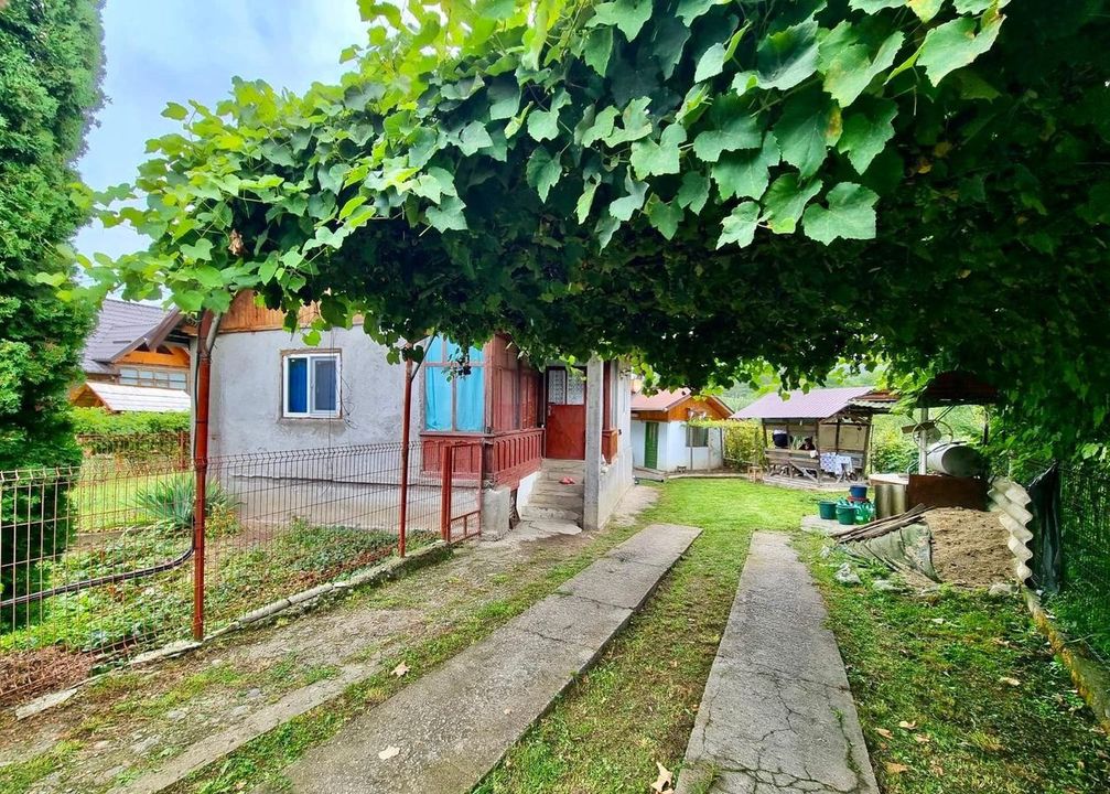 Casă de vânzare în Nucșoara – Sboghițești, teren 2400 mp