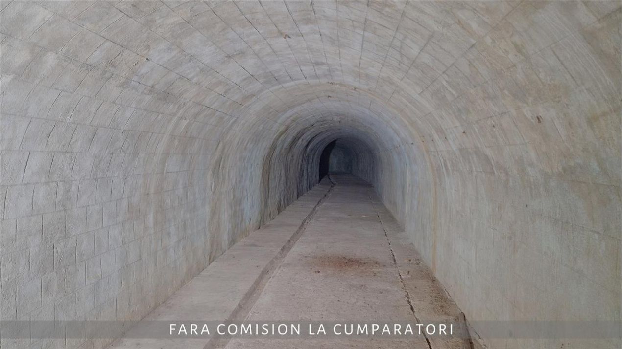 Imagine 1175