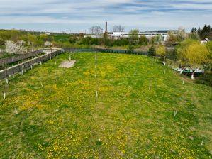 Imagine 766
