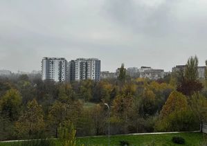 Imagine 17354
