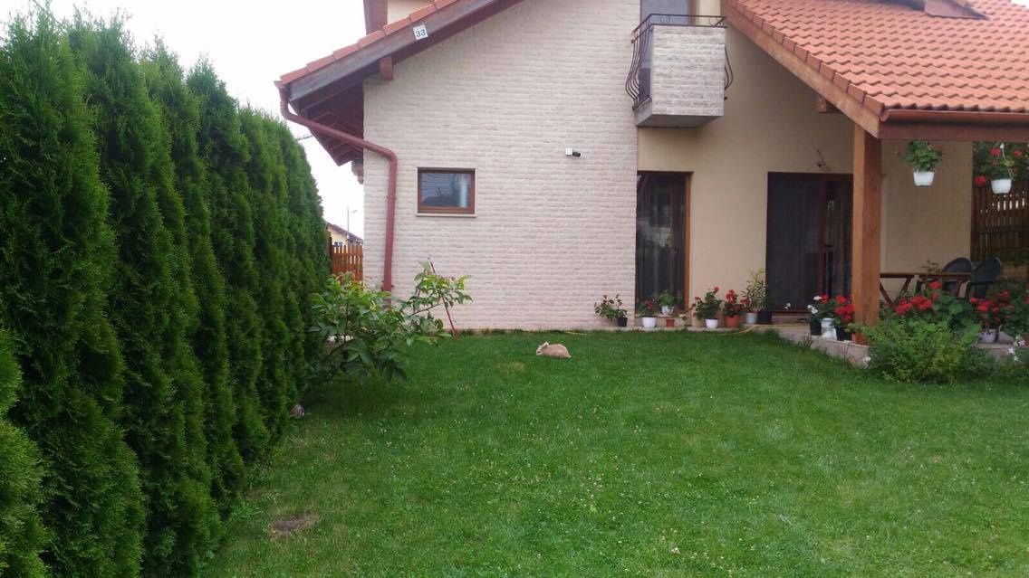 Imagine 11678
