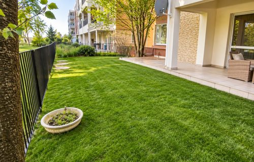 Imagine 243045