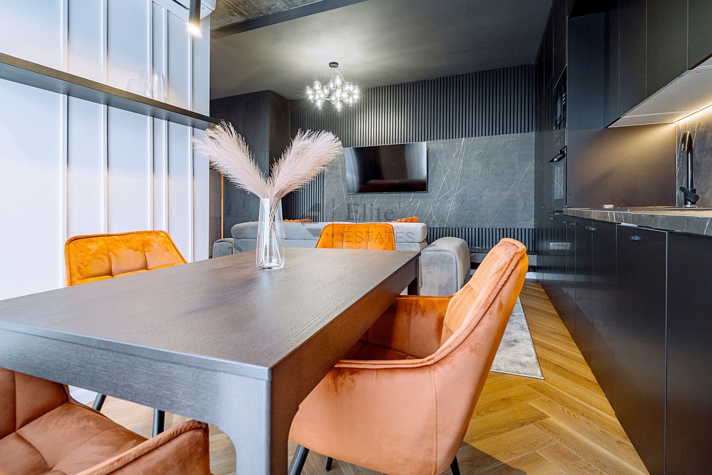 Imagine 1498