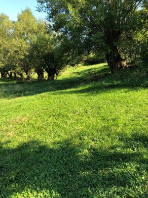 Imagine 19689
