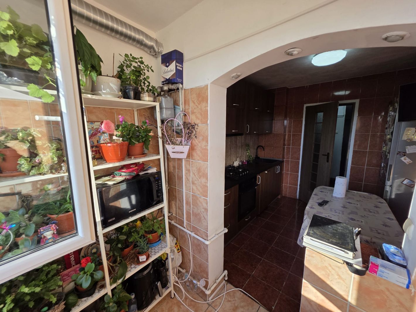 Imagine 24710