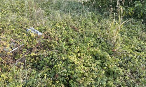 Imagine 18747