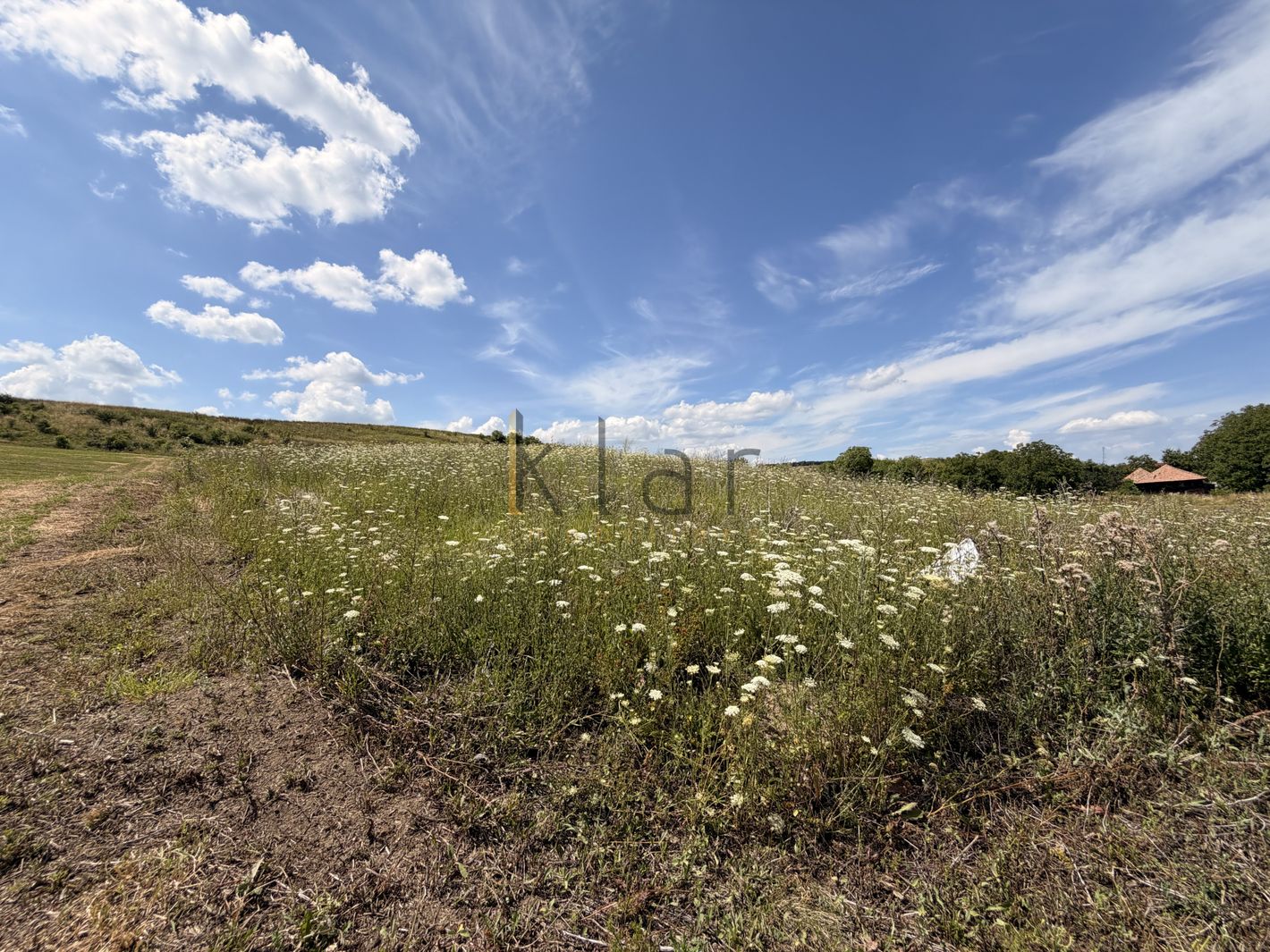 Imagine 8688