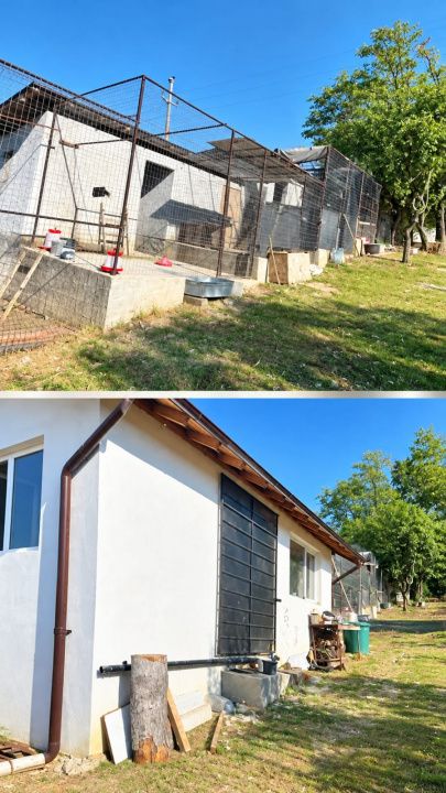 Imagine 7439