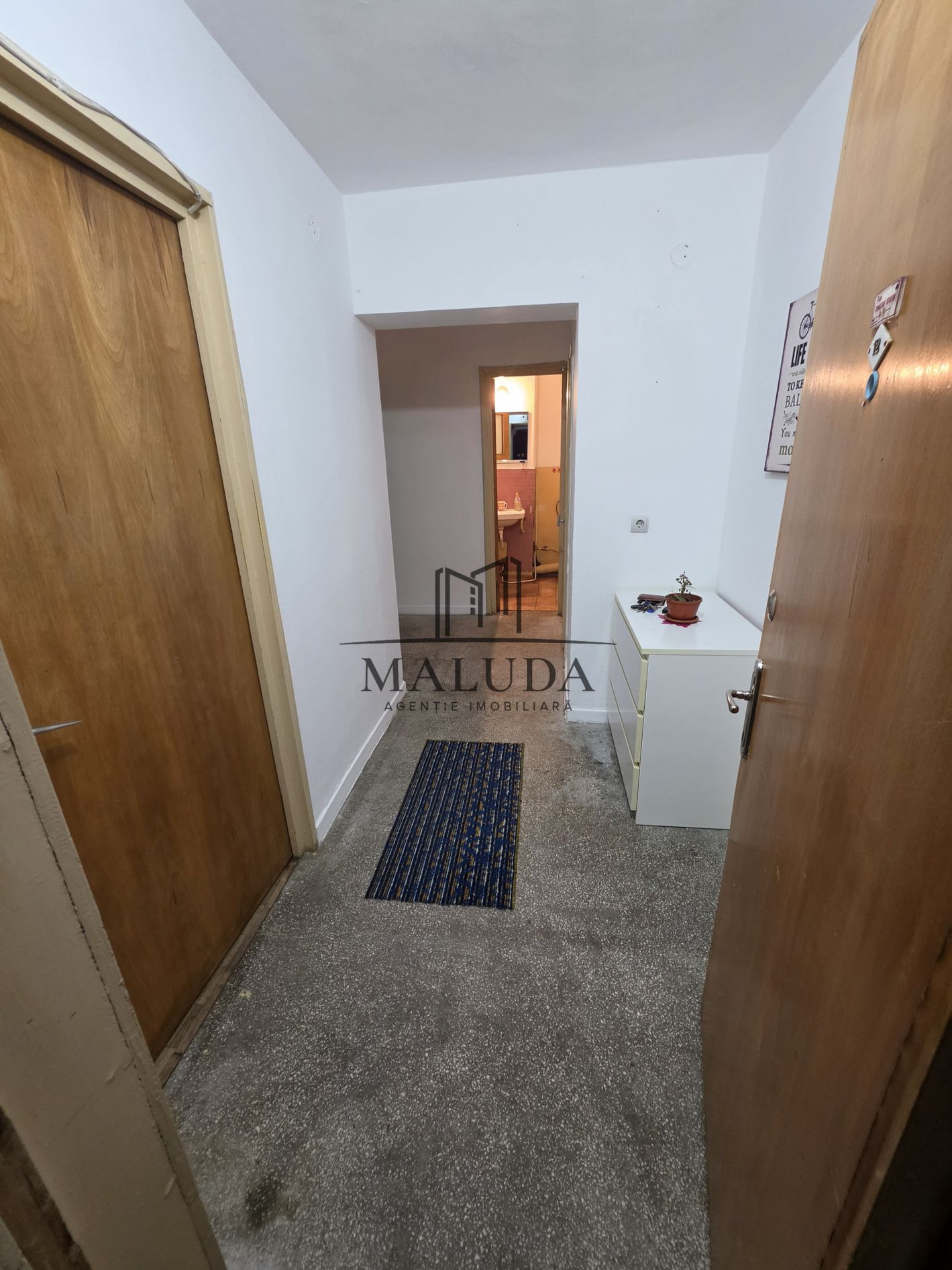 Imagine 241