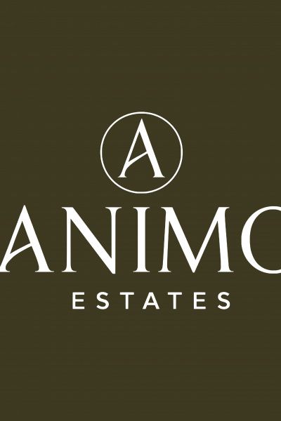 Paul-Andrei  Bălaș