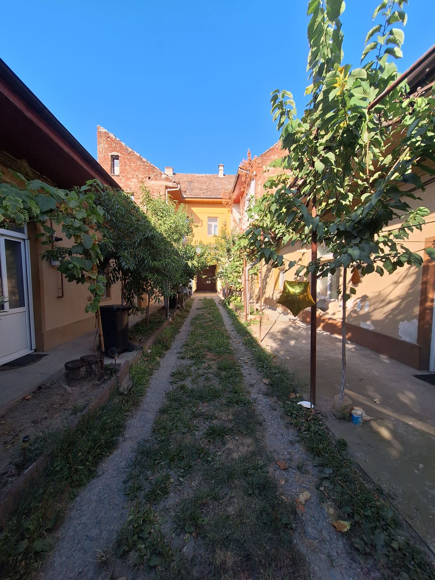 Imagine 10088